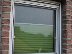 Insektenschutz in Niederkrüchten