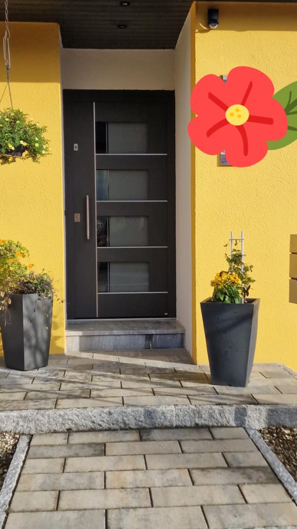 dunkelbraune Kunststoff Haustüre in Brüggen