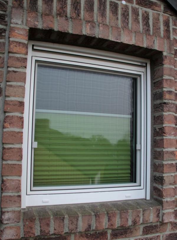 Insektenschutz in Niederkrüchten